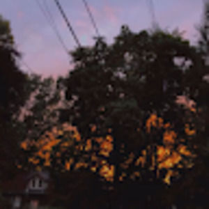 Meet your Posher, Josefina